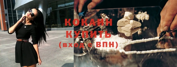 прущий лед Новозыбков