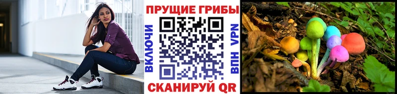 Галлюциногенные грибы Cubensis  где продают наркотики  Усолье-Сибирское 