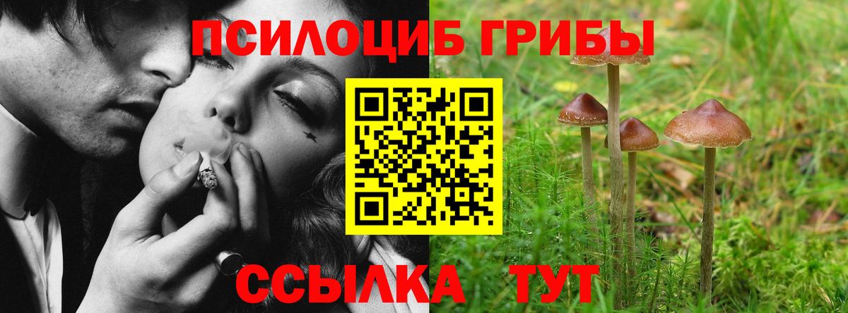 Псилоцибиновые грибы MAGIC MUSHROOMS Усолье-Сибирское